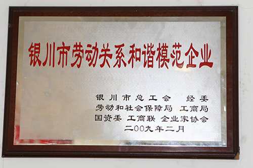 2月25日，集团公被评为“银川市劳动关系和谐模范企业”。