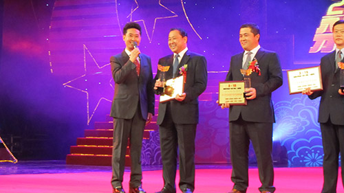 3月15日，集团荣获2010年发展宁夏年度成就奖。